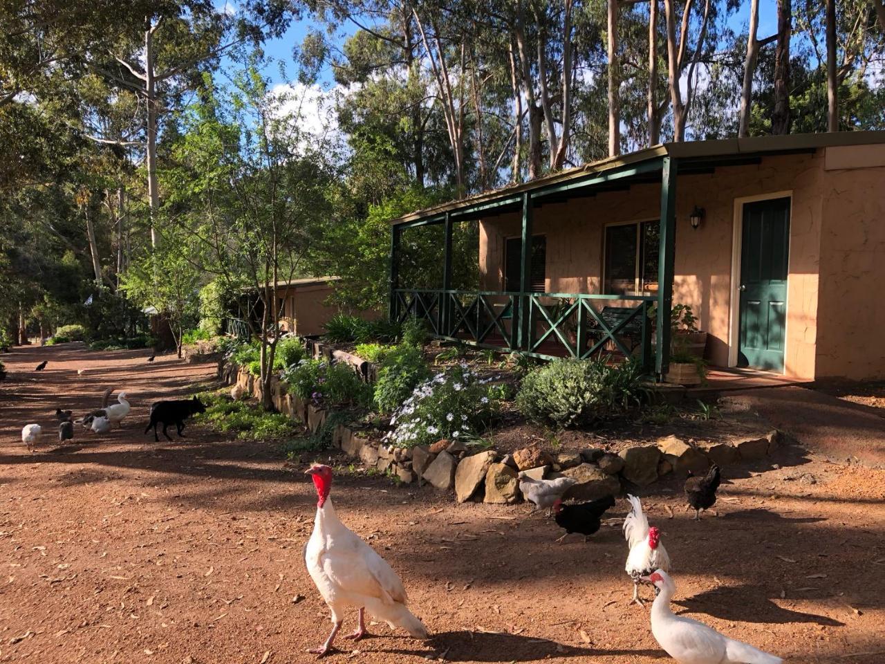 Country Cottages Of Bridgetown Extérieur photo